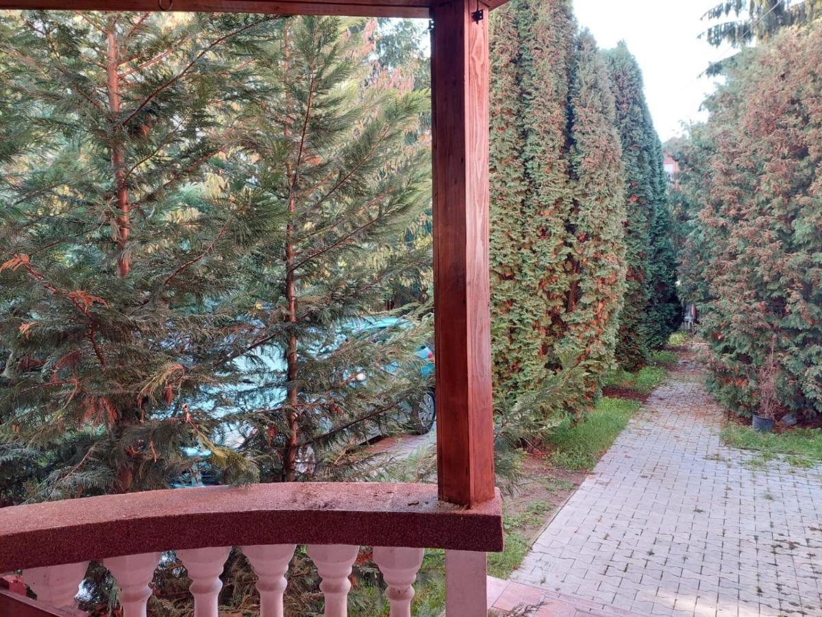 Apartamente Bobo Sîngeorgiu de Mureş Exterior foto